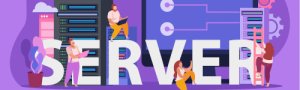 The word server on a purple background.