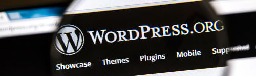 Wordpress org logo under a magnifying glass.