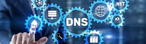 A man is touching a gear with the word dns on it.