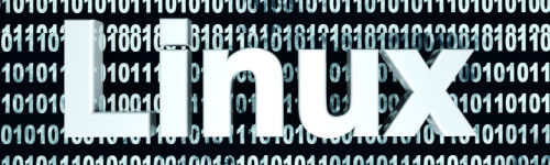 The word linux is shown on a background of binary numbers.